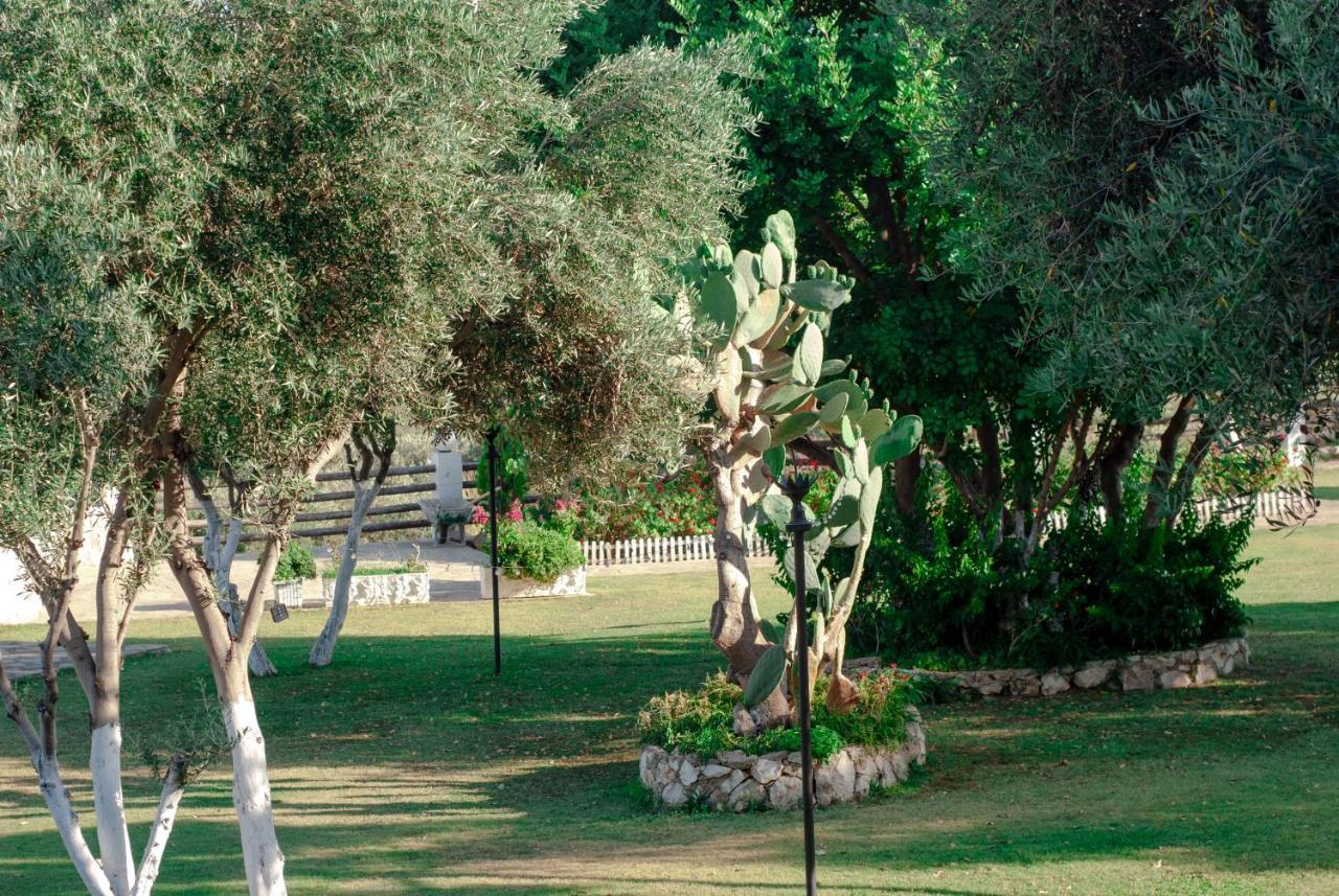Akrapol Boutique Hotel Kaş Buitenkant foto